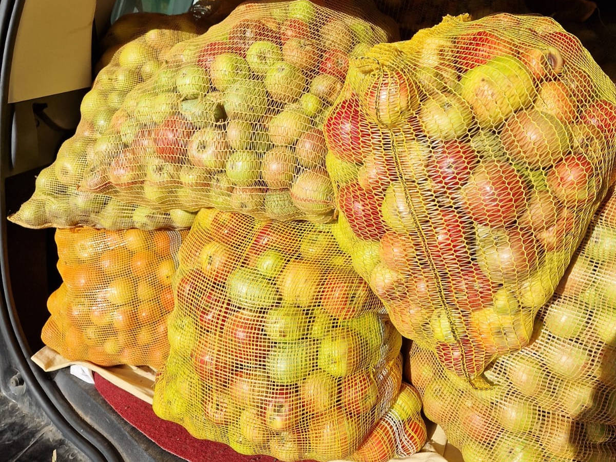 collier de pommes de terre chez SylT: photos 2014 - école petite section