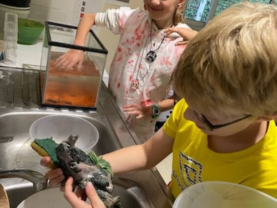 Lavage de l'aquarium du centre (octobre 2024)