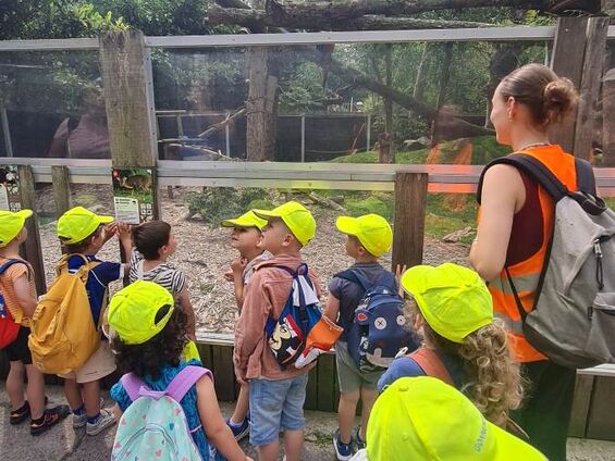 Sortie au zoo de Lille (juillet 2024)